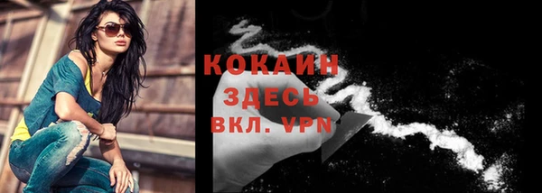 дживик Абинск