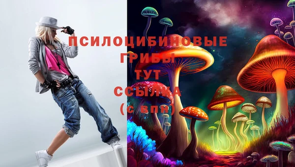 мескалин Абаза