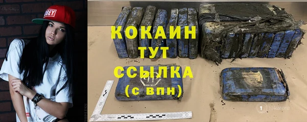 дживик Лагань