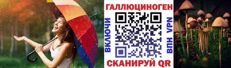 Галлюциногенные грибы прущие грибы Иваново